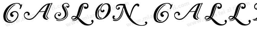 Caslon Calligraphic Initials字体转换